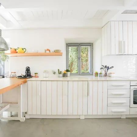 Charming Design House In With Garden - 6 Apartment Montijo